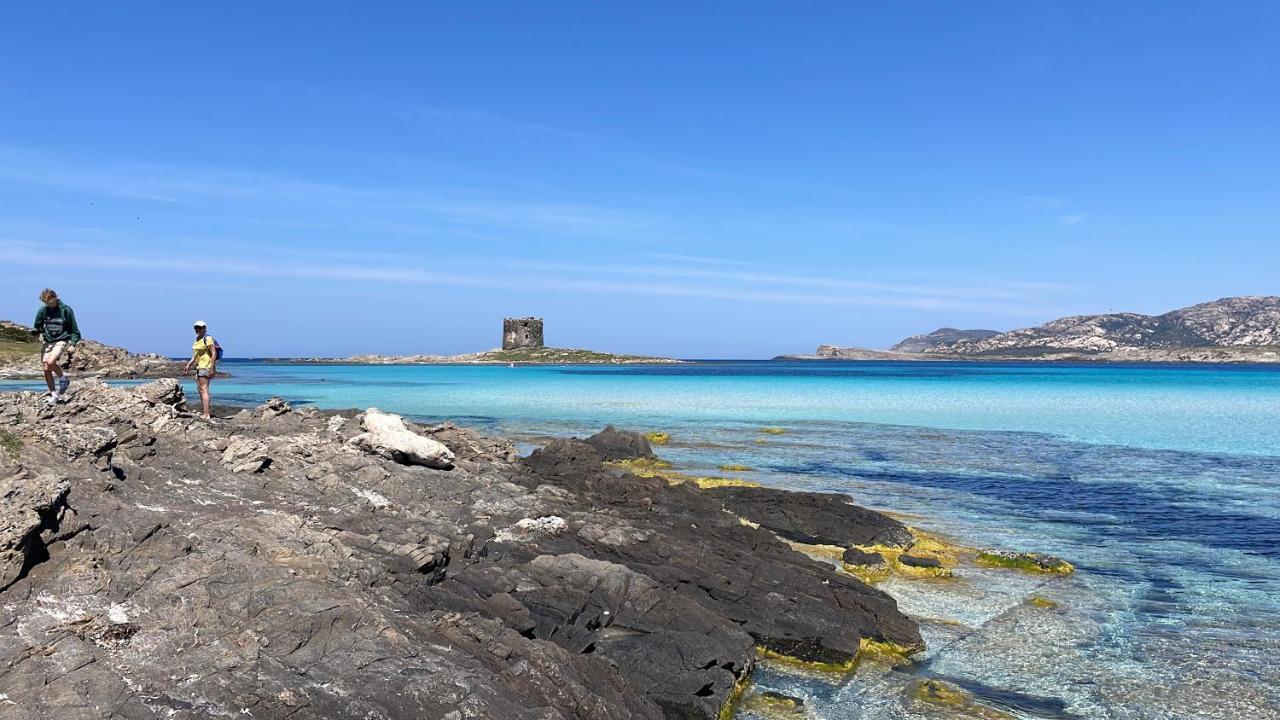 I Pescatori Di Stelle-L12 Altair Villa Stintino Buitenkant foto