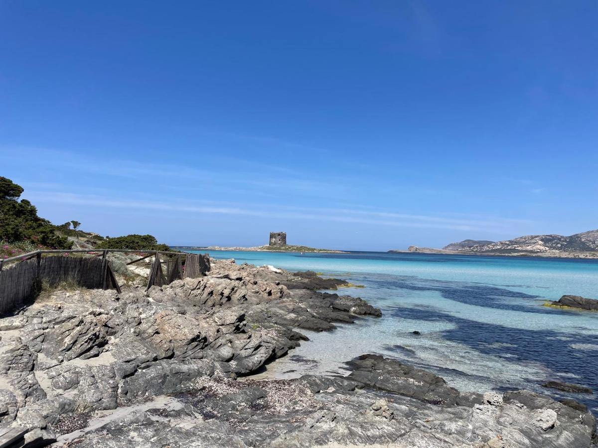 I Pescatori Di Stelle-L12 Altair Villa Stintino Buitenkant foto