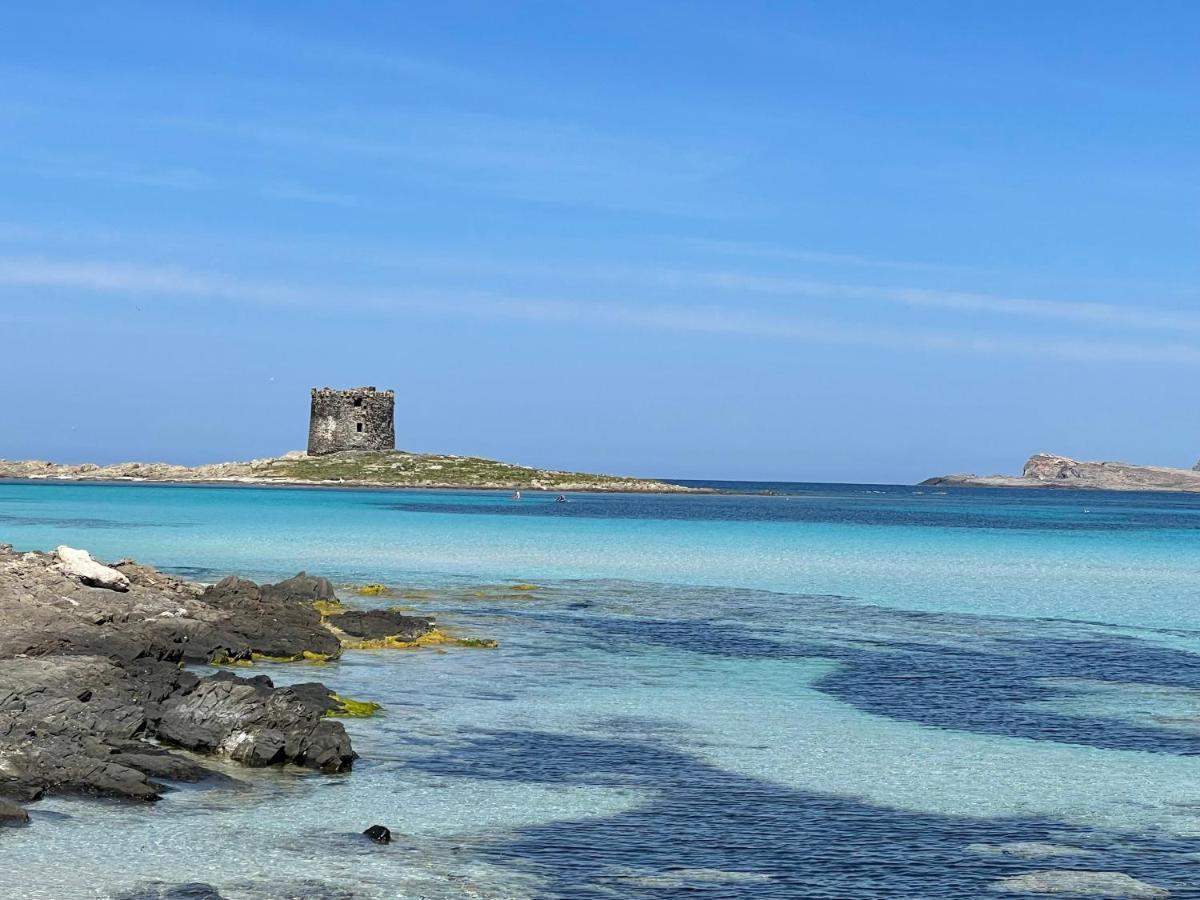 I Pescatori Di Stelle-L12 Altair Villa Stintino Buitenkant foto