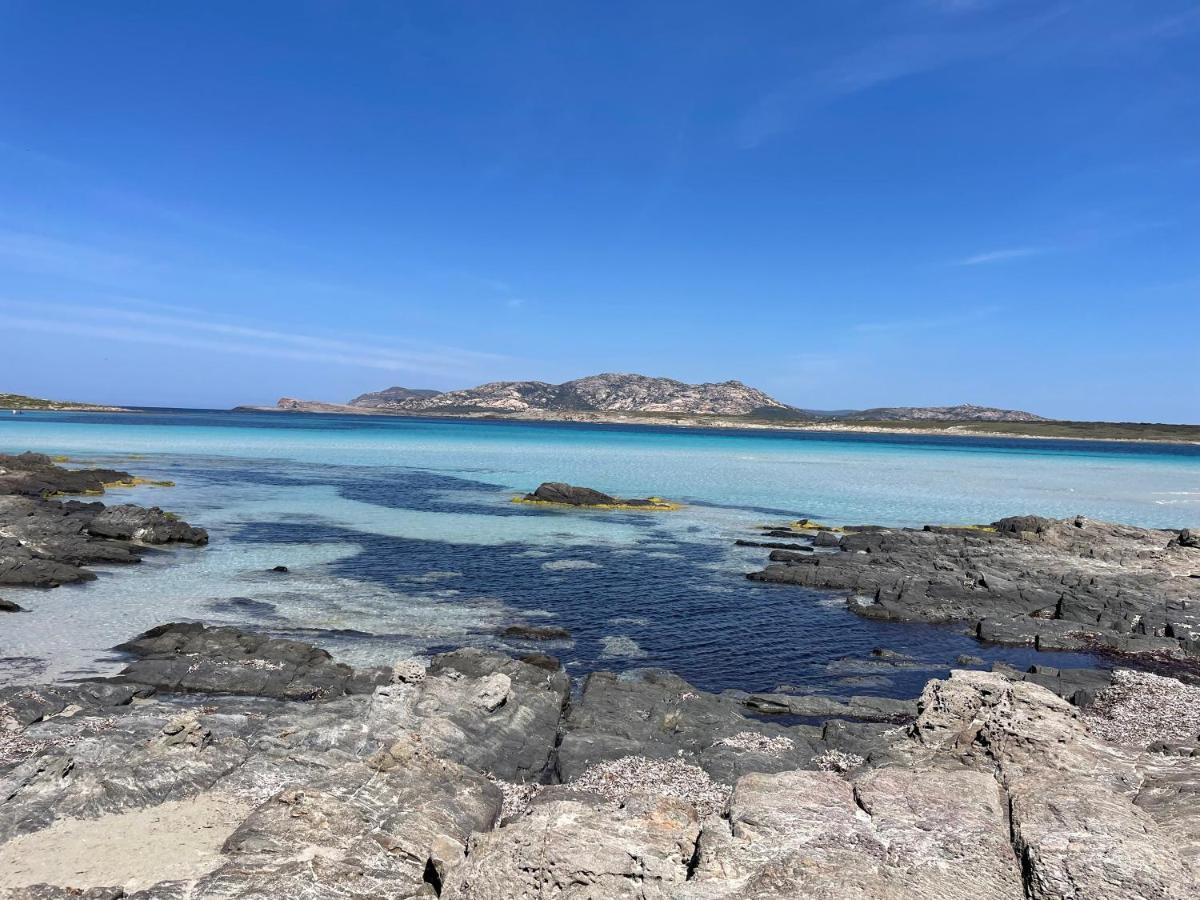 I Pescatori Di Stelle-L12 Altair Villa Stintino Buitenkant foto