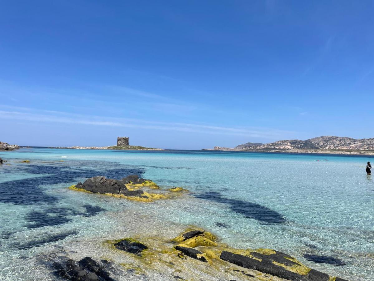 I Pescatori Di Stelle-L12 Altair Villa Stintino Buitenkant foto
